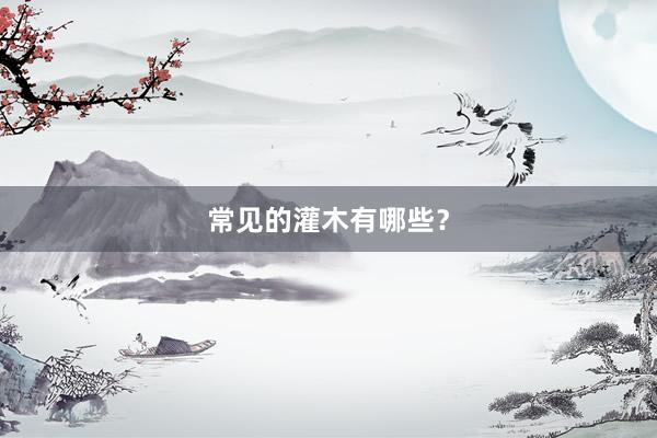 常见的灌木有哪些？